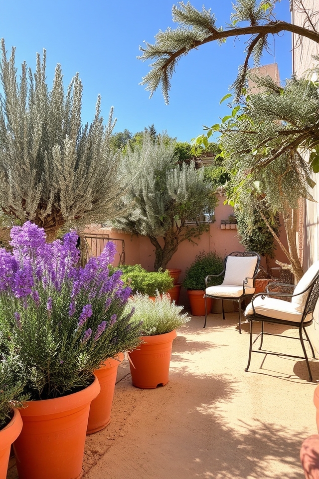 mediterranean garden transformation ideas