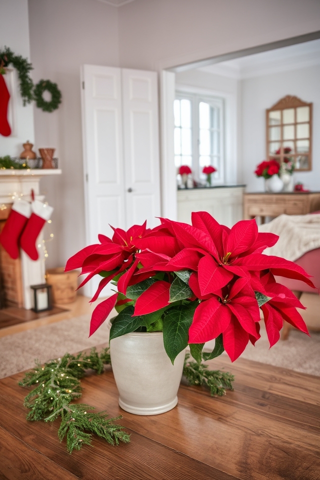 poinsettias enhance holiday decor
