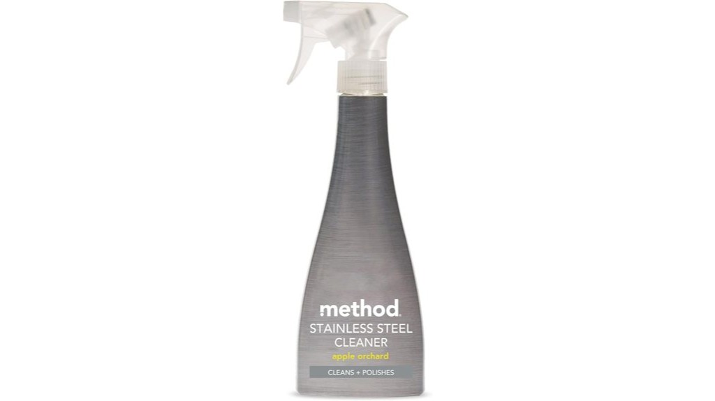 stainless steel cleaner spray
