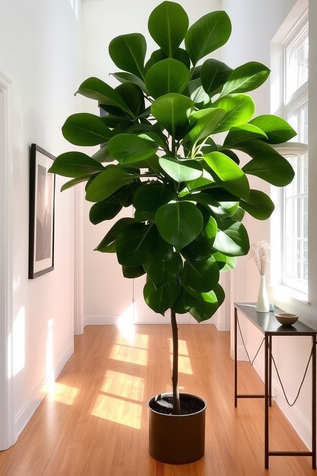 tall plants enhance hallways