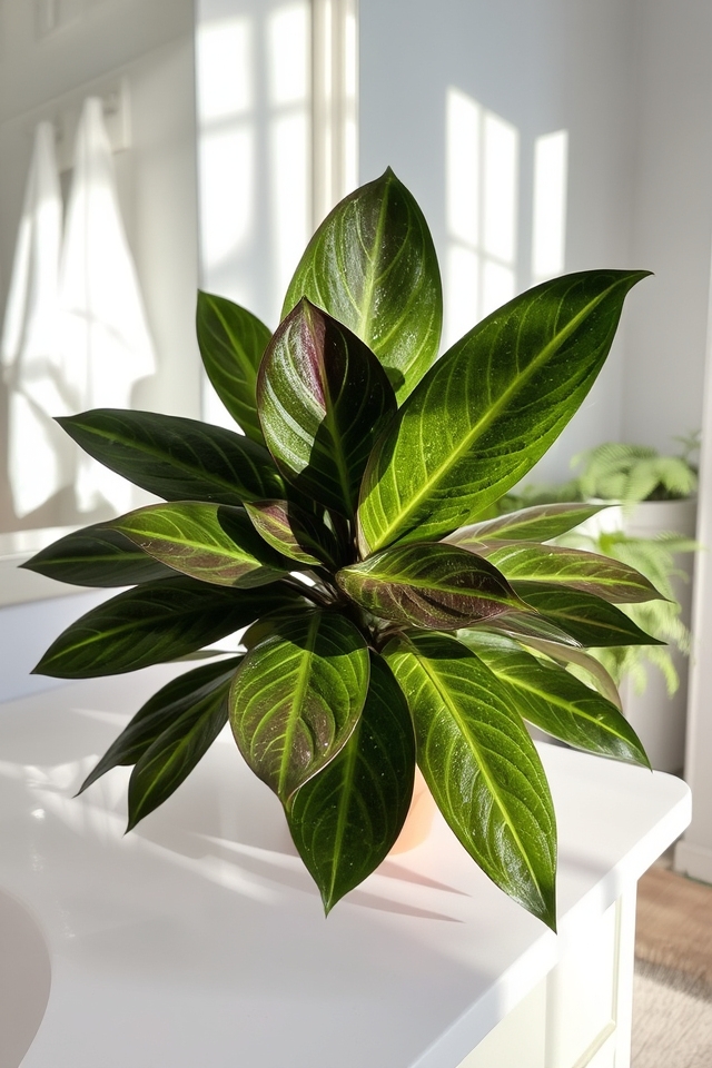 tropical elegance in bathrooms