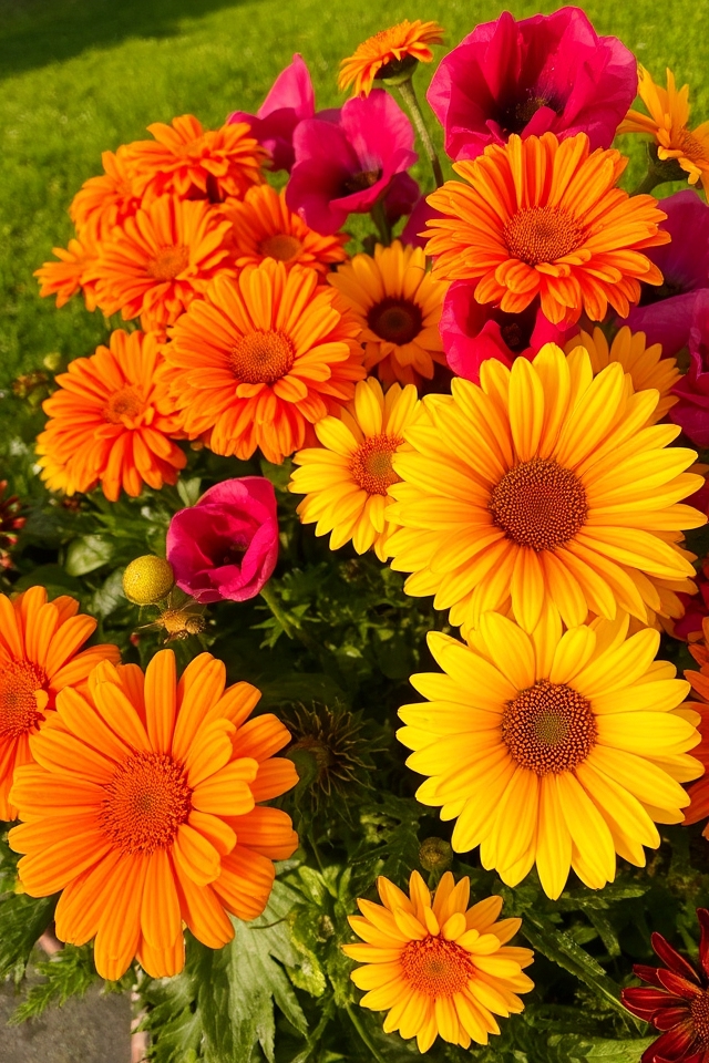 vibrant color bold patterns