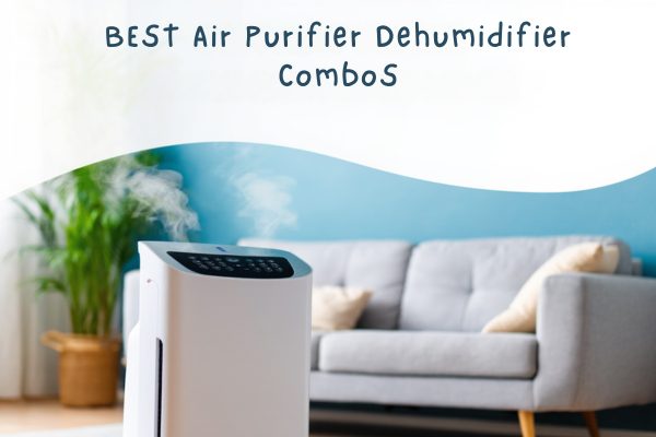 Best Air Purifier Dehumidifier Combo 2025: 18 Energy-Efficient Models