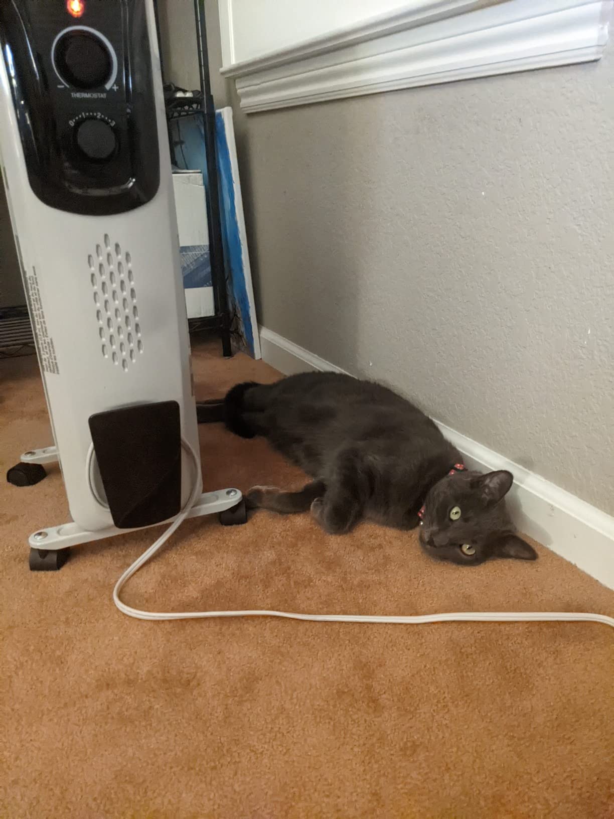 Amazon Basics Portable Oil Radiator Heater for Indoor Use, 3 Heat Settings, Over-Heat Protection, ETL-certified Safety, 7 Oil-Filled Steel Fins, 1500W, 11 Amazon Basics Portable Oil Radiator Heater for Indoor Use, 3 Heat Settings, Over-Heat Protection, ETL-certified Safety, 7 Oil-Filled Steel Fins, 1500W, 11