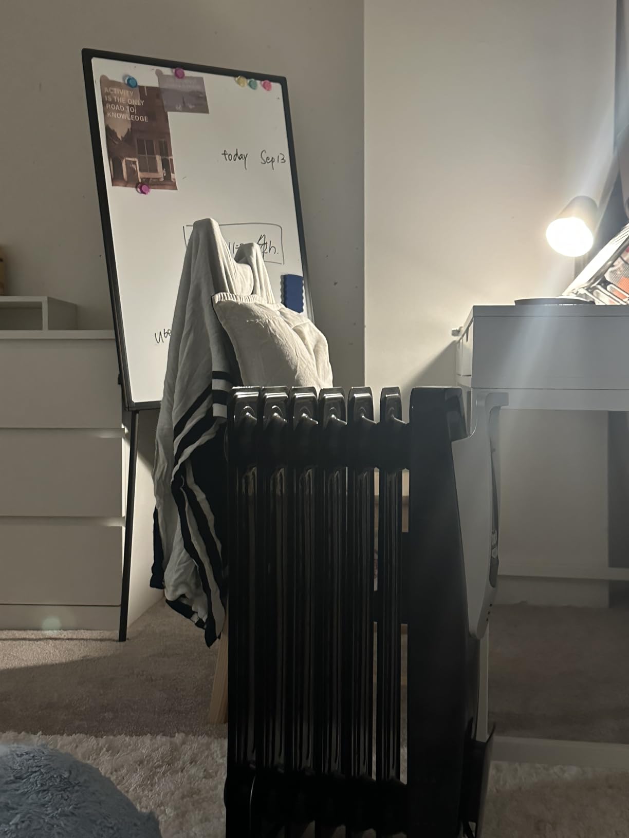 PELONIS Champagne Oil Filled Radiator Heater with Remote and Thermostat, 5 Temperature Settings for indoor use Large Room, Energy Efficient Electric Space heater with Safety Features Customer Review PELONIS Champagne Oil Filled Radiator Heater with Remote and Thermostat, 5 Temperature Settings for indoor use Large Room, Energy Efficient Electric Space heater with Safety Features - Customer Photo 1