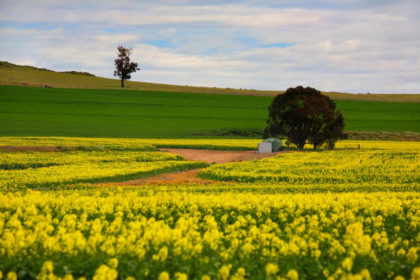 Green Living in Australia: How Sheds and Garages Reduce Our Environmental Footprint