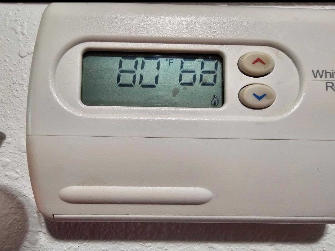 Lasko 20