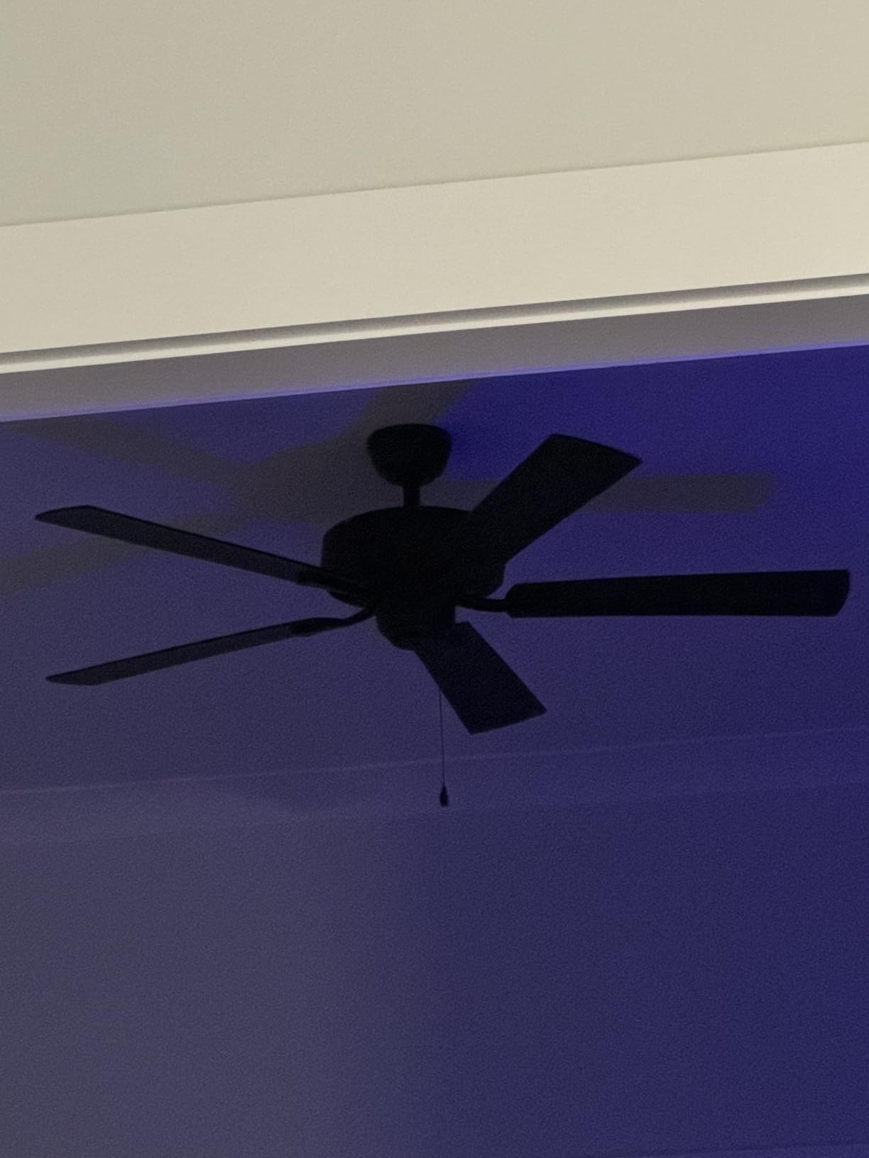 Hunter 52 inch Outdoor or Indoor Ceiling Fan No Light with Pull Chain - Black Ceiling Fan without Light, Standard Mount, 5 Blades, For Patio, Porch, Living Room - Builder Elite 53294, Matte Black Customer Review Hunter 52 inch Outdoor or Indoor Ceiling Fan No Light with Pull Chain - Black Ceiling Fan without Light, Standard Mount, 5 Blades, For Patio, Porch, Living Room - Builder Elite 53294, Matte Black - Customer Photo 3