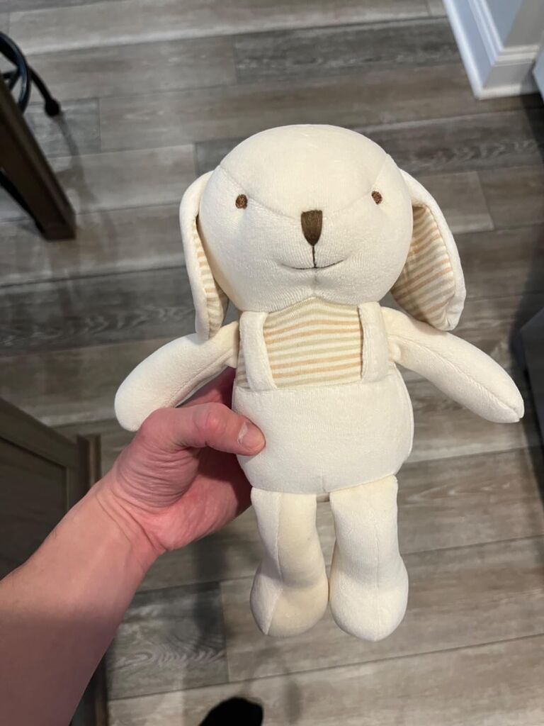Super Soft Organic Cotton Baby First Friend (Hello! Puppy) Attachment Doll for Baby, Pillow Buddy, Plush Animal Toys, Organic Toys, Stuffed Animal Puppy 12.5 inches customer photo 2