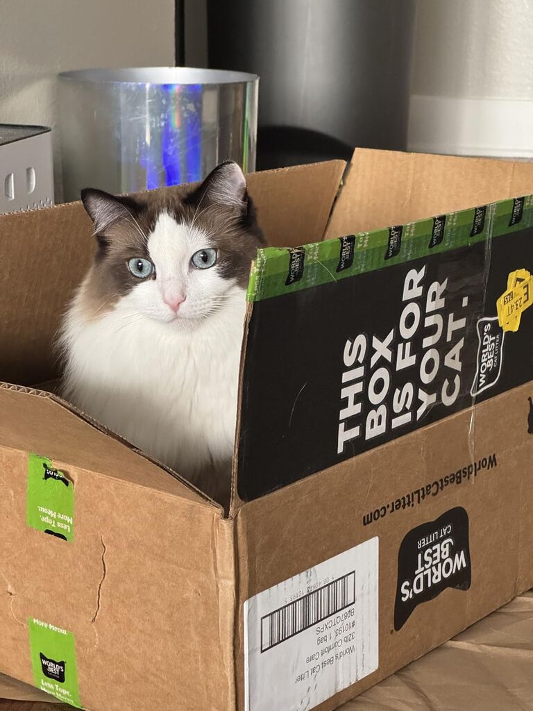 WORLD'S BEST CAT LITTER Comfort Care Unscented (15-Pounds) - Natural Ingredients, Quick Clumping, Flushable, 99% Dust Free & Made in USA customer photo 1