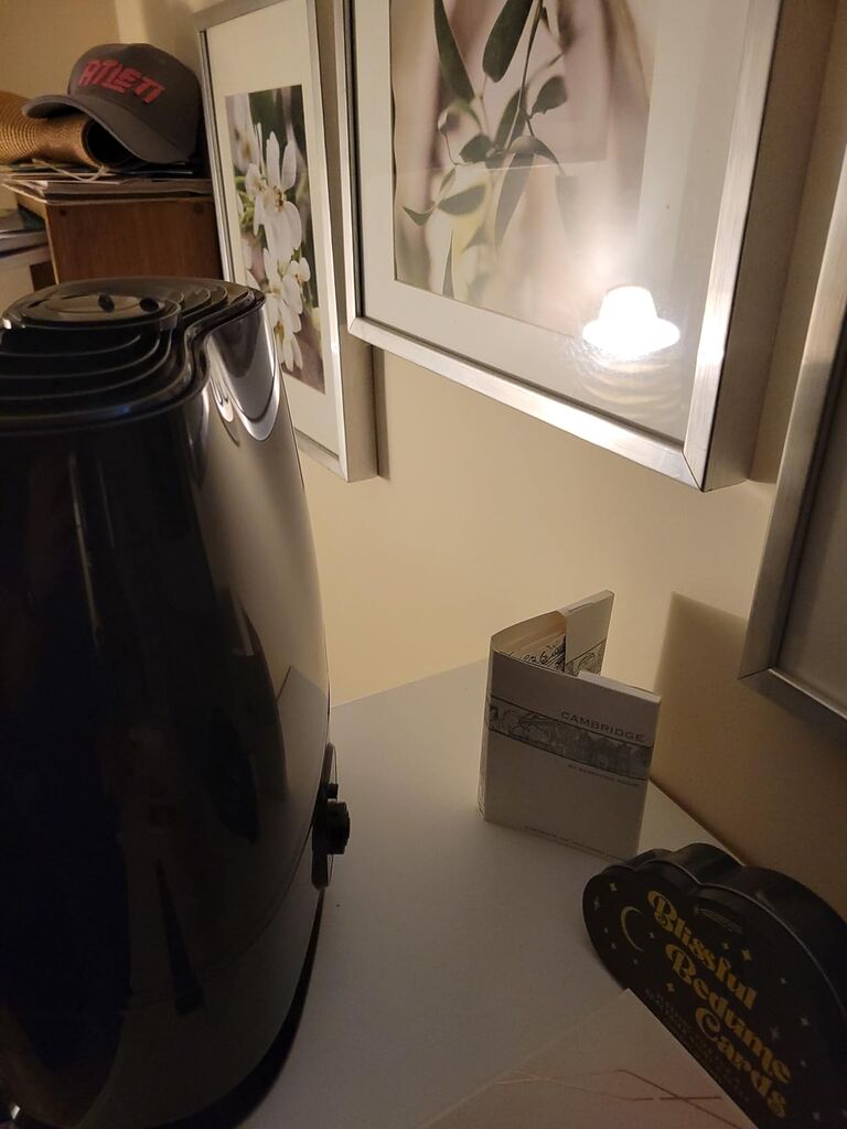 Everlasting Comfort 6L Humidifiers for Bedroom, Quiet 50HR Runtime No-Filter Supersized Cool Mist Humidifier Large Room for Whole House, Plants, Baby Nursery, Allergies, Dry Skin, Congestion, Indoor customer photo 2