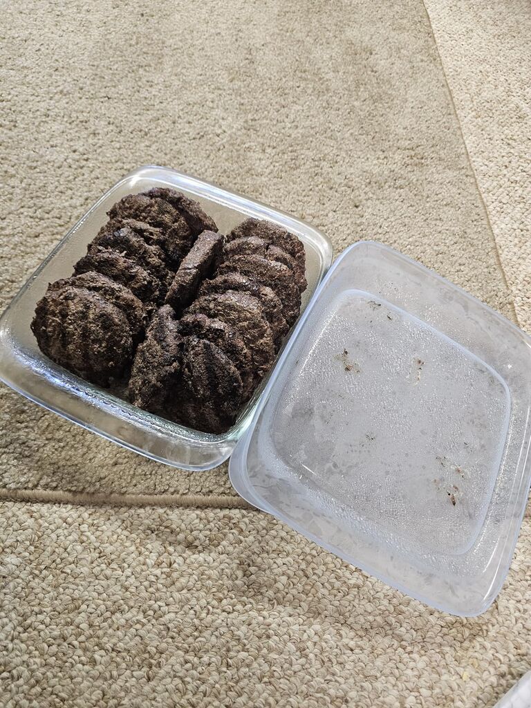 OXO Good Grips Glass Loaf Pan With Lid customer photo 1