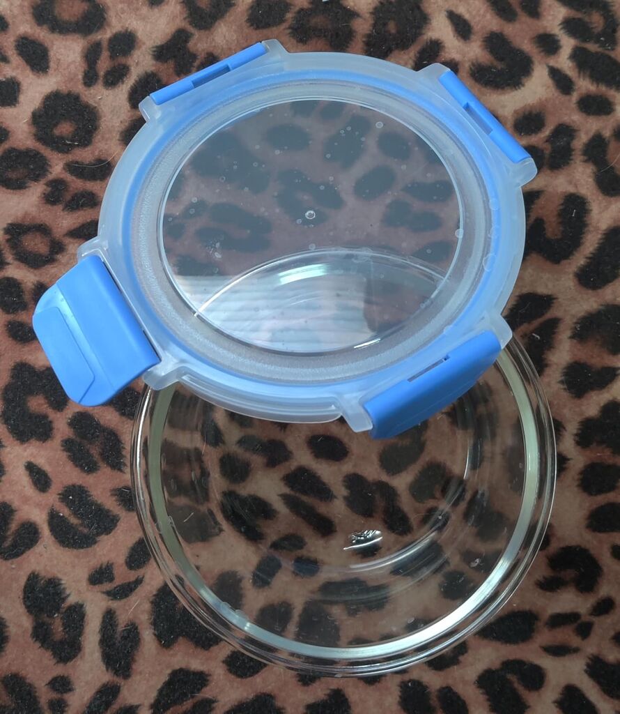 Amazon Basics Glass Food Storage Containers, Leak Proof, Oven Safe, Easy to Clean, Stain Resistant, Set of 7, 14 Pieces Including Lids, BPA-Free, Clear with Blue Silicone Ring customer photo 1