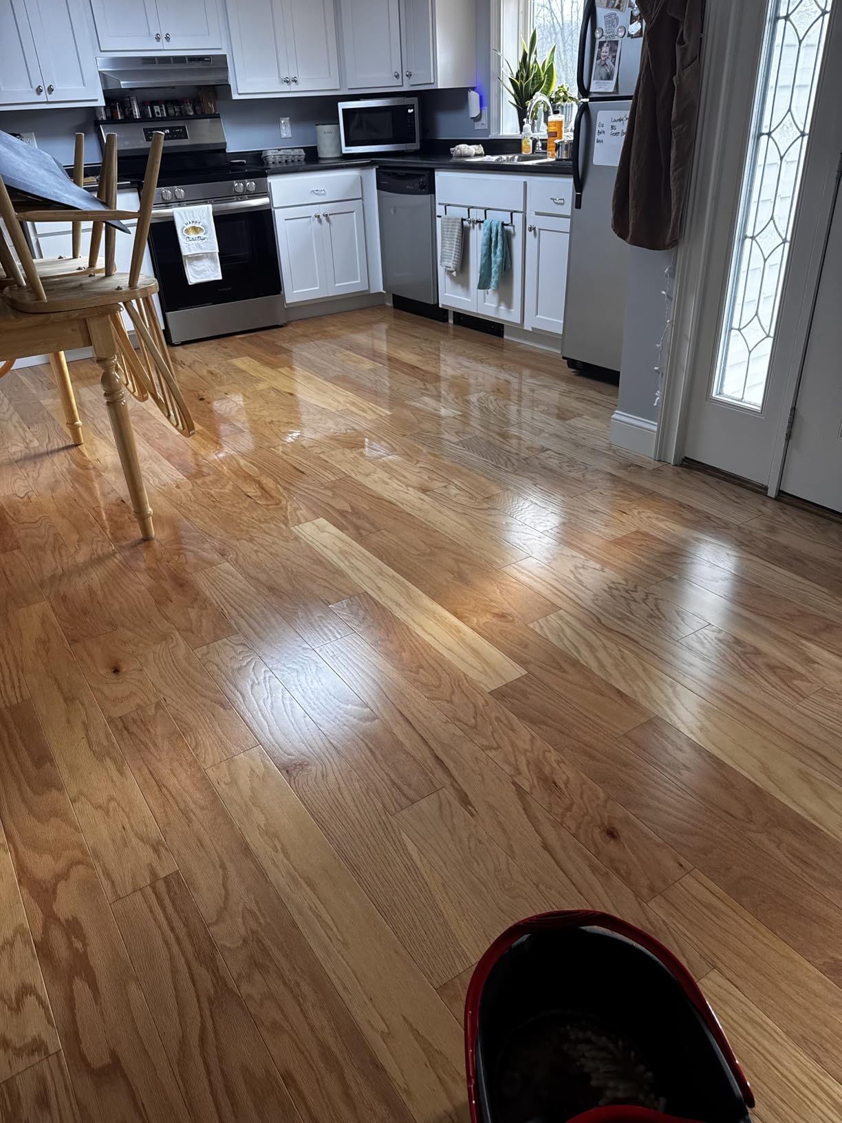 Aunt Fannie's Ultra Concentrated Hardwood Floor Cleaner, Vinegar-Free Plant Based Hardwood Floor Cleaner for Mopping, Bright Lemon Scent, 32 oz. (Pack of 1) - Customer Photo 2