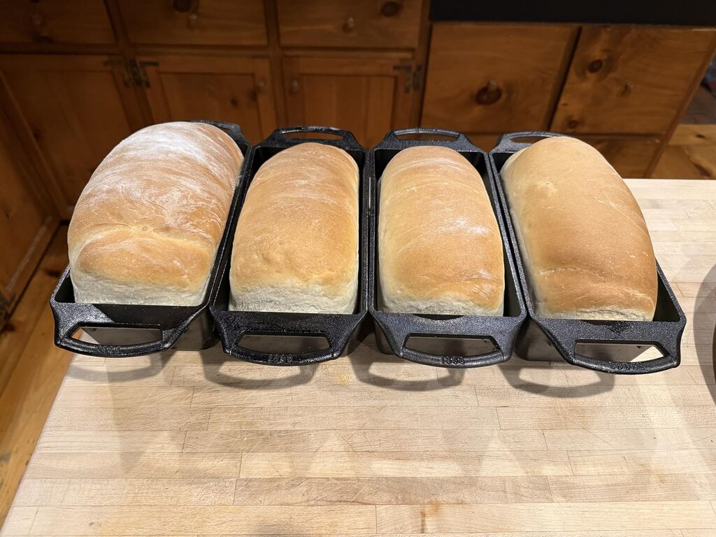 Lodge Seasoned Cast Iron Loaf Pan - Pre-Seasoned Rectangular Cast Iron Bakeware- Even Browning Bread Pan with Easy-Release Finish - PFAS-Free Non-Toxic Cookware - 8.5 Inches customer photo 1