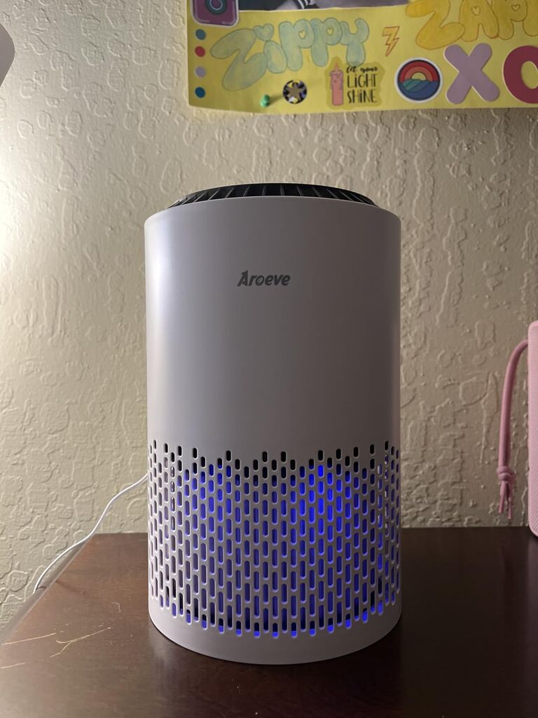 AROEVE Air Purifiers for Bedroom Home, Air Purifier For Smoke Pollen Dander Hair Smell Air Cleaner with Sleep Mode Speed Control, MK01- White customer photo 1