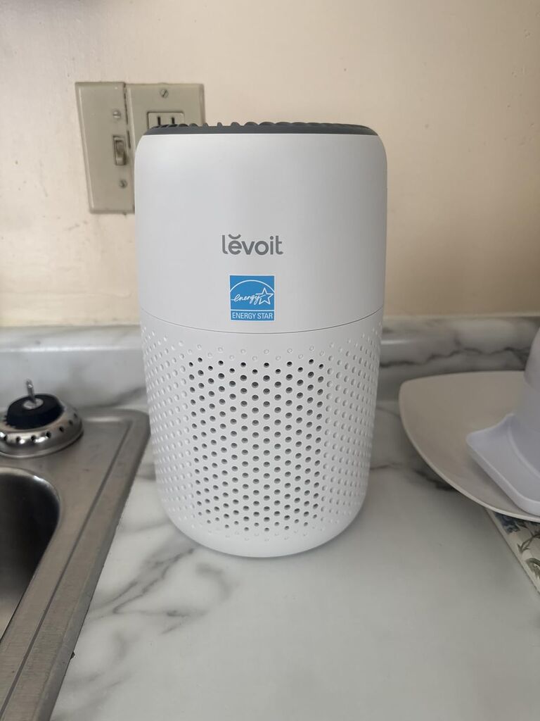 Levoit Air Purifiers for Bedroom Home Pets Dorm Room, Small Air Purifiers customer photo 2