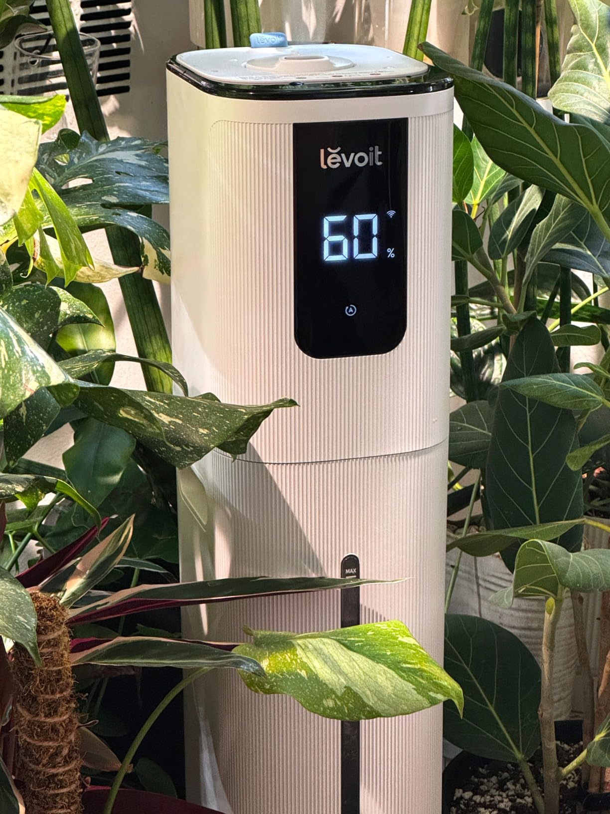 LEVOIT OasisMist 1000S (10L) Smart Humidifier for Home Large Room Bedroom, Last 100 Hours Suitable for Indoor Plant, Cover up to 600ft², Easy Top Fill, Remoter & Voice Control, Auto Mode, Quiet, White - Customer Photo 1