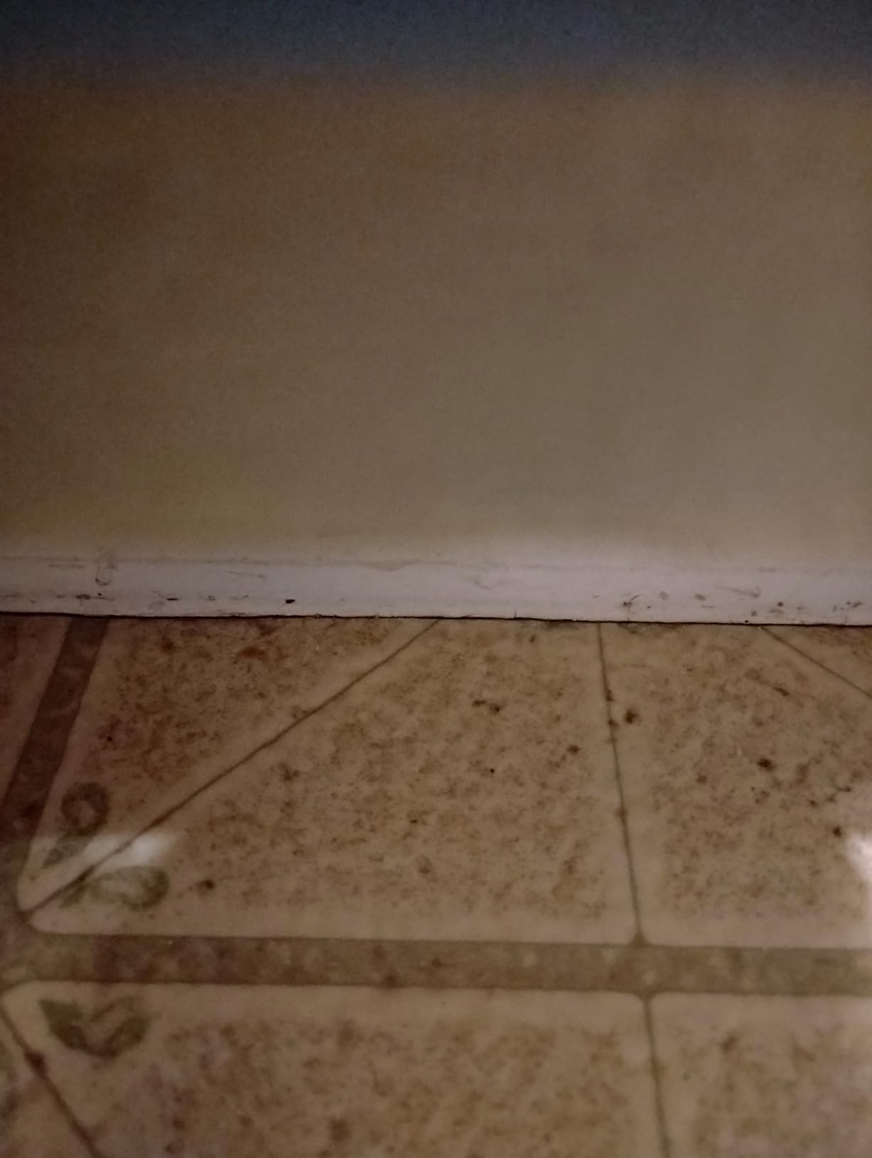 Uncle Todd's Ultra Concentrated Floor Cleaner For Mopping: 30 Natural, 100% Dissolvable Sheets for Mopping – Hardwood & Wood Floor Cleaner with Filth-Fighting Enzymes, Plastic-Free Packaging - Customer Photo 3