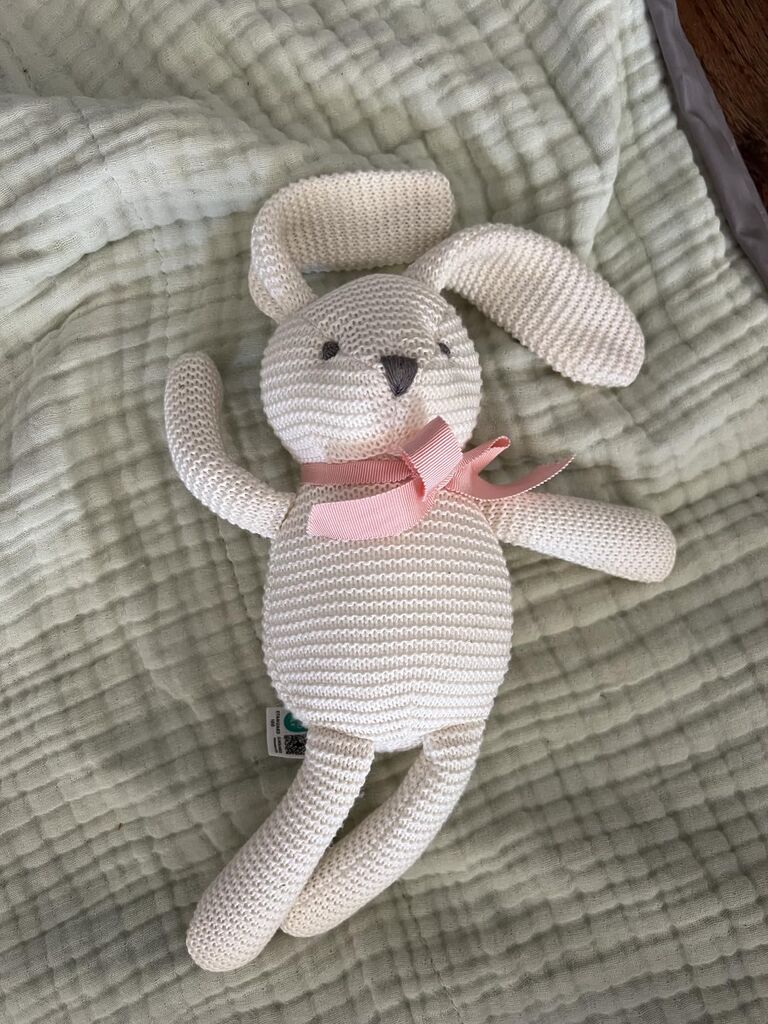 100% Organic Cotton Green Dinosaur Plush, 7.1 Inch Baby Stuffed Animal for Newborn customer photo 2