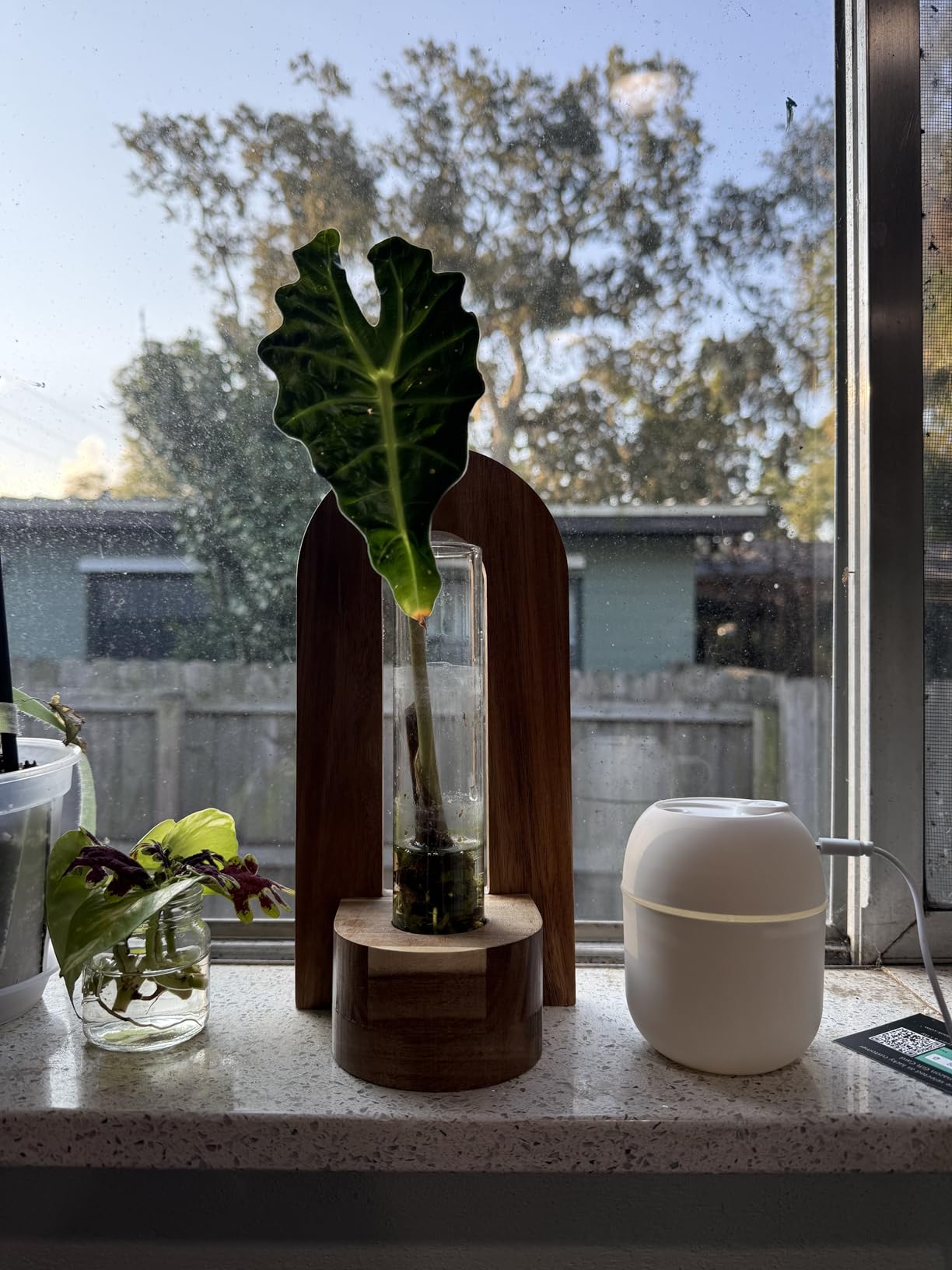 Portable Small Humidifier, USB Personal Desktop Humidifier for Car, Office Room, Bedroom, Auto Shut-Off, 2 Mist Modes, Super Quiet(220ml, White) Customer Review Portable Small Humidifier, USB Personal Desktop Humidifier for Car, Office Room, Bedroom, Auto Shut-Off, 2 Mist Modes, Super Quiet(220ml, White) - Customer Photo 2