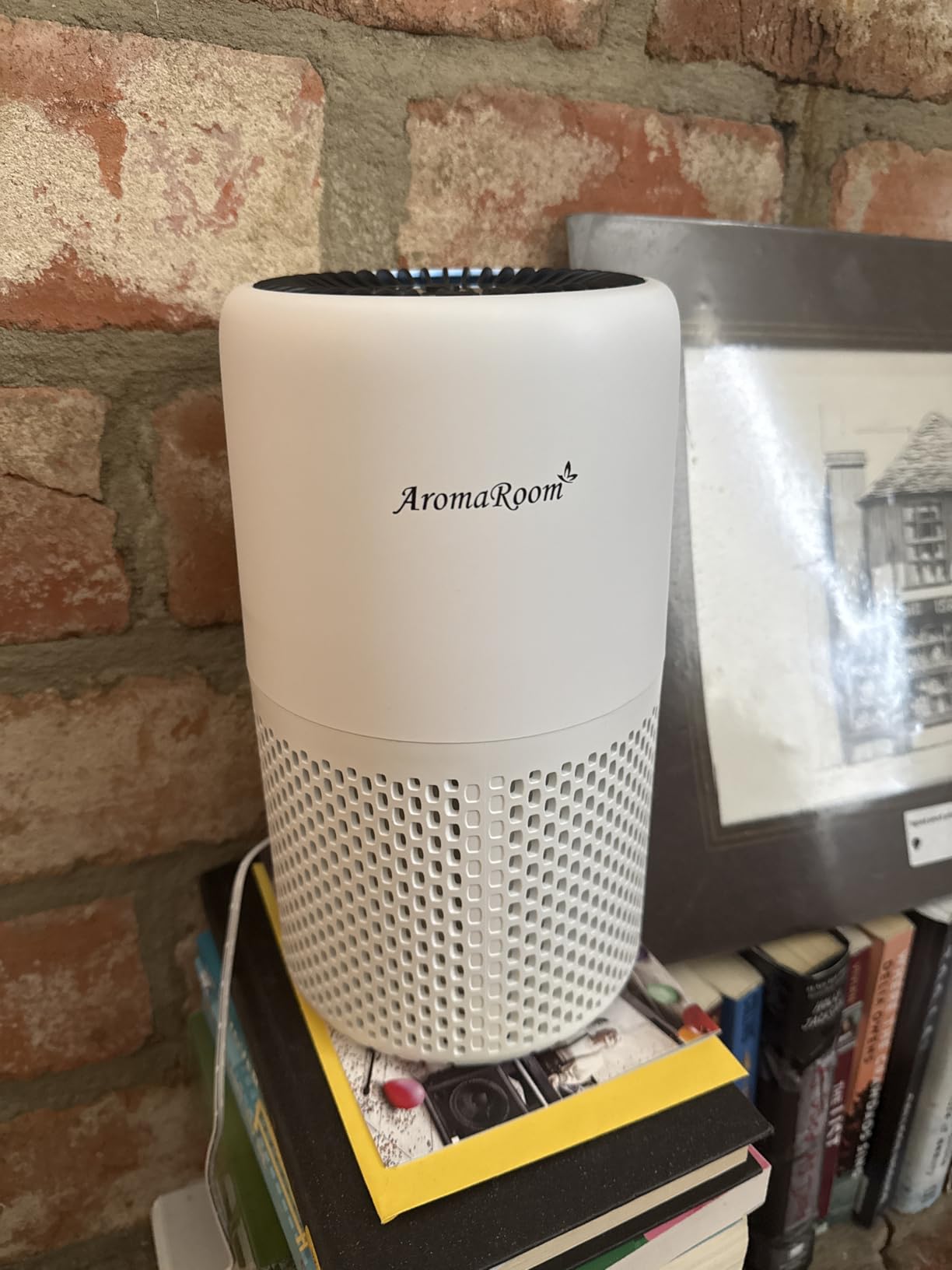 Air Purifier for Home Bedroom, AromaRoom H13 HEPA Air Filter For Smoke Pollen Dander Hair Smell Air Cleaner, 3-in-1 Filter with Sleep Mode, Quiet Air Cleaner For Pets, Home, Baby Room (White, AP103) - Customer Photo 1