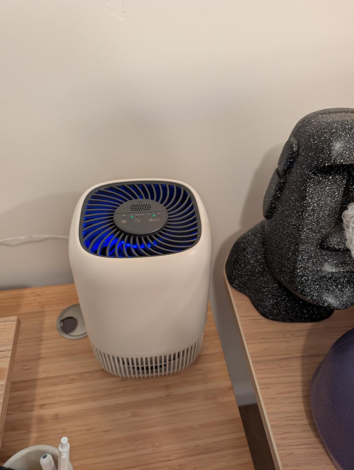 Air Purifiers for Home with H13 True HEPA Filter Up to 1076 Ft² for Pet Hair, Odors, Pollen, Smoke, Compact Air Cleaner with 3 Speeds, Timer, Aroma Quiet 360°Intake Filter, White - Customer Photo 1