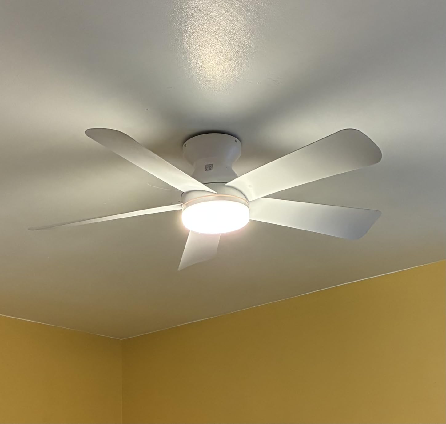 Depuley Modern Ceiling Fan with Light: 42-Inch Black Small Fans for Bedroom Indoor Outdoor - Dimmable Low Profile Ceiling Fans with Remote Control Flush Mount 5 Reversible Black Blades 6 Speeds Timer Customer Review Depuley Modern Ceiling Fan with Light: 42-Inch Black Small Fans for Bedroom Indoor Outdoor - Dimmable Low Profile Ceiling Fans with Remote Control Flush Mount 5 Reversible Black Blades 6 Speeds Timer - Customer Photo 1