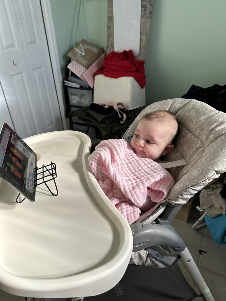 Graco Slim Snacker Highchair, Whisk customer photo 1