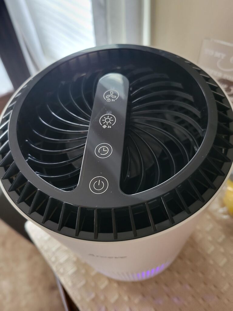 AROEVE Air Purifiers for Bedroom Home, Air Purifier For Smoke Pollen Dander Hair Smell Air Cleaner with Sleep Mode Speed Control, MK01- White customer photo 2