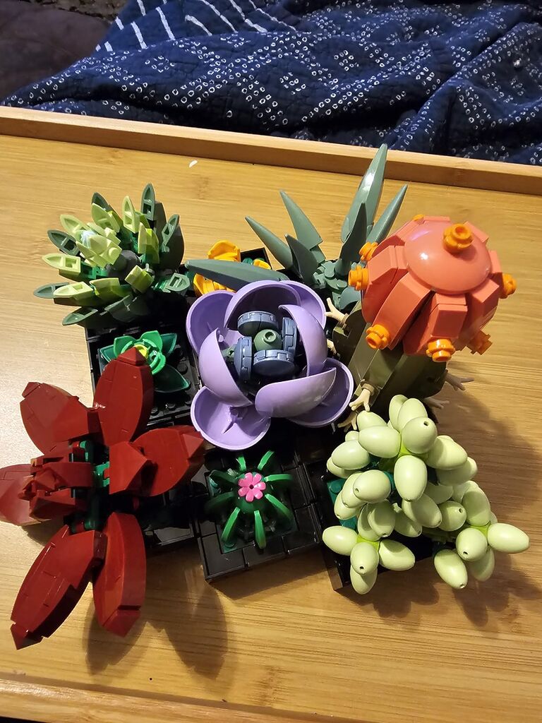 LEGO Botanicals Succulents 10309 customer photo 2