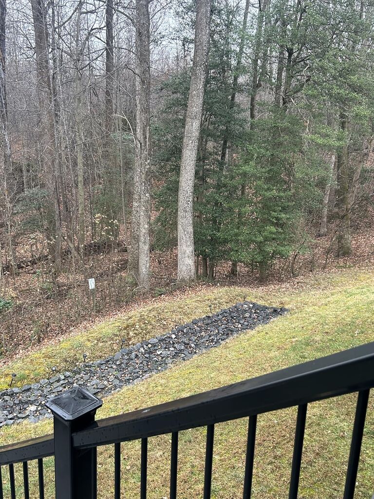 Husqvarna 150BT Gas Backpack customer photo 2