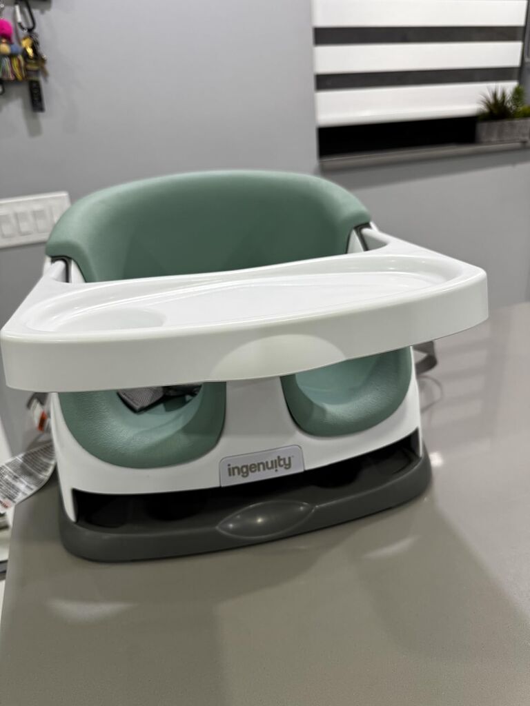 Ingenuity Baby Base 2-in-1 Booster Feeding and Floor Seat with Tray customer photo 1