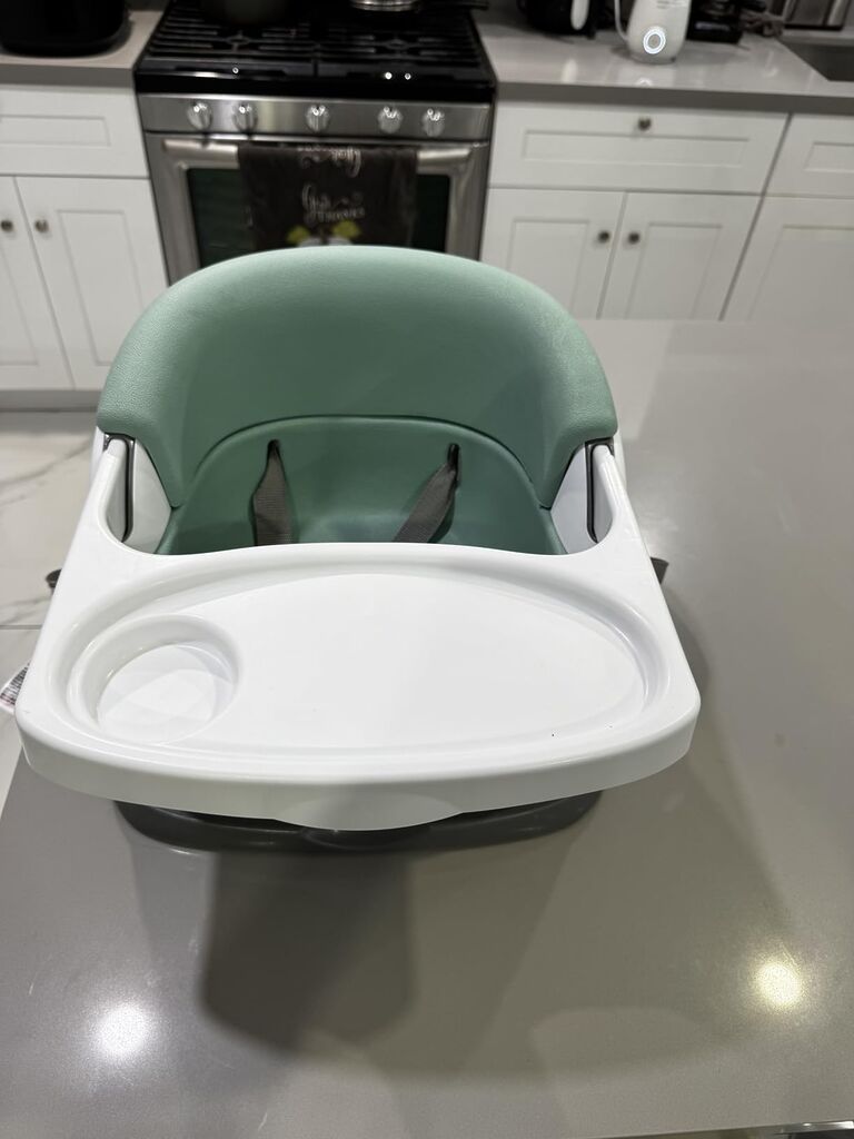 Ingenuity Baby Base 2-in-1 Booster Feeding and Floor Seat with Tray customer photo 2