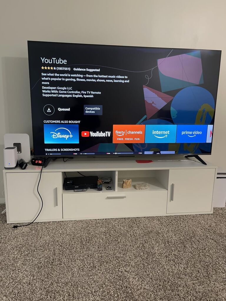 INSIGNIA 65-inch Class F50 Series LED 4K UHD Smart Fire TV with Alexa Voice Remote (NS-65F501NA24) customer photo 2