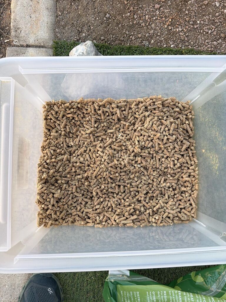 Nature's Logic 100% Natural Pine Pellet Cat Litter - 100% Ponderosa Pine, Dust-Free, Unscented, Biodegradable - Safe for Cats, Kittens, Reptiles & Small Pets - Highly Absorbent - 24 lb Bag customer photo 1
