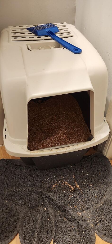 ARM & HAMMER Naturals Clumping Cat Litter, Odor Control, Multi Cat Litter, 18 lb. Bag customer photo 2