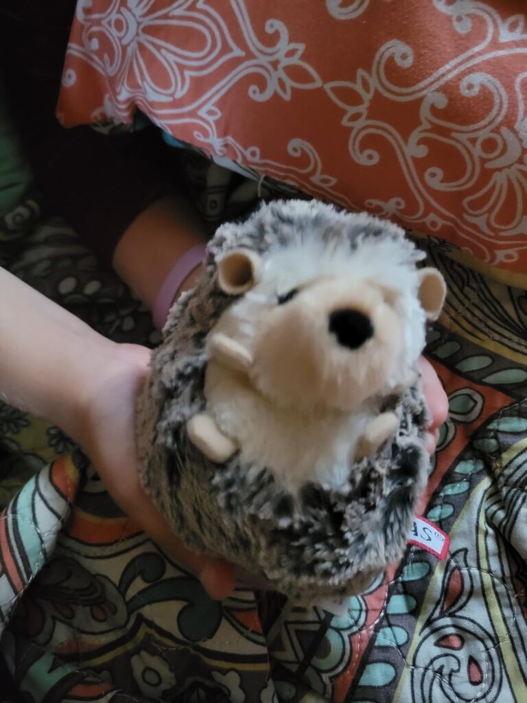 Douglas Spunky Hedgehog Plush Stuffed Animal customer photo 1