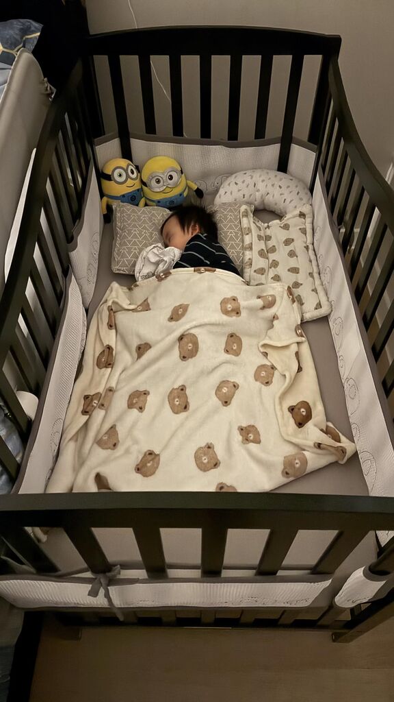 Dream On Me Chelsea 5-in-1 Convertible Crib in Natural customer photo 1