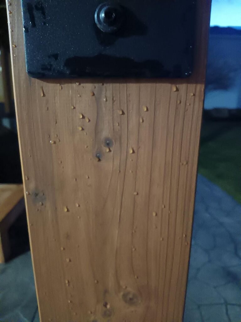 SEAL-ONCE NANO+POLY Penetrating Wood Sealer with Polyurethane - 1 Gallon. Water-based, Low-VOC, waterproofer & stain for decks, fences & log homes. customer photo 1
