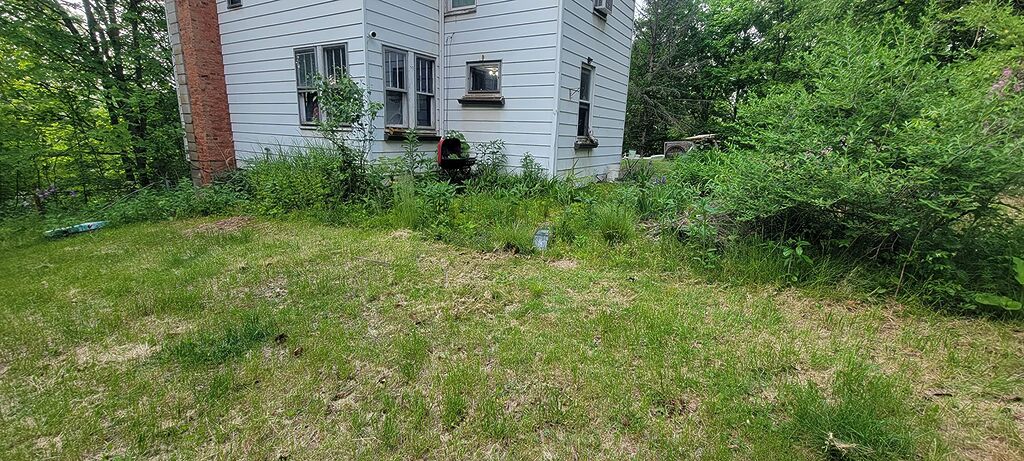 ECO Garden PRO - Organic Vinegar Weed Killer | Kid/Pet Safe | Clover Moss, Green Grass & Poison Ivy Killer for Lawns | Spray Ready Glyphosate Free Herbicide (1 Gallon) customer photo 1