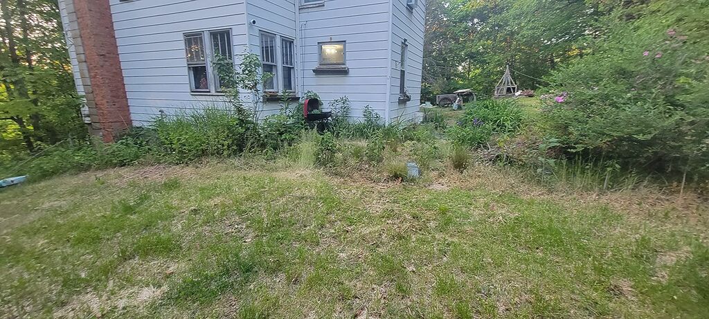 ECO Garden PRO - Organic Vinegar Weed Killer | Kid/Pet Safe | Clover Moss, Green Grass & Poison Ivy Killer for Lawns | Spray Ready Glyphosate Free Herbicide (1 Gallon) customer photo 2