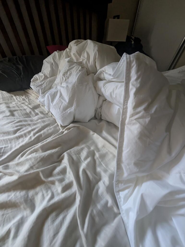 Goose Feather Down Fiber Comforter - 100% Cotton Cover, OEKO-TEX Certified customer photo 1