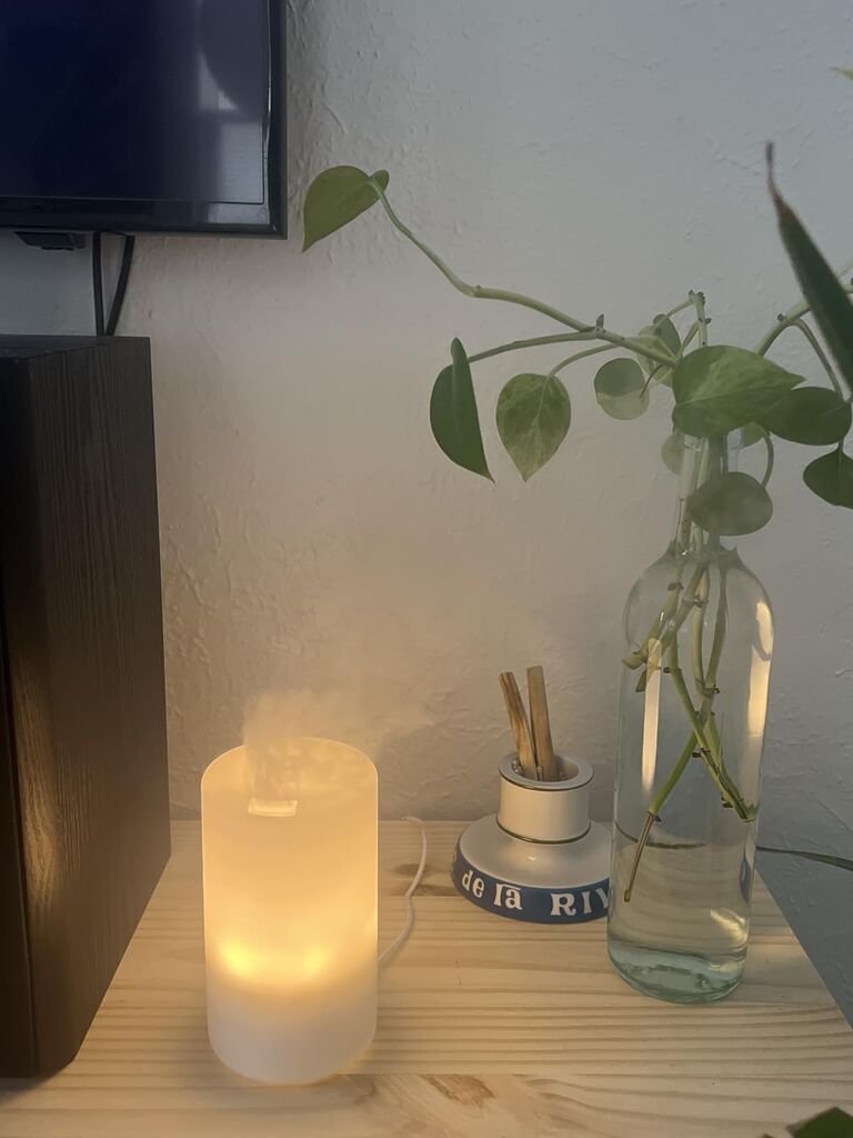 Santal Diffuser Oil, Niche Scent, Amber Coco Vanilla Cedar Sandalwood Musk Essential Oils Blend for Ultrasonic Diffuser customer photo 1