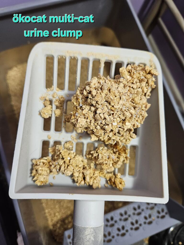 ökocat Less Mess Low Tracking Wood Clumping Cat Litter Mini-Pellets, Unscented, 18.6 pounds - Natural Ingredients, Stops Odor, Clumps Solid, 99% Dust Free customer photo 1