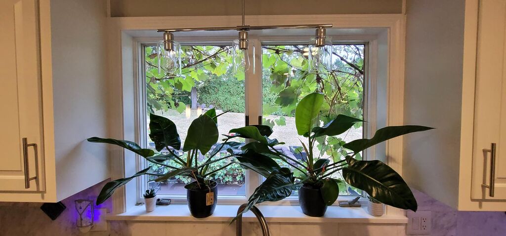 Kitchen Island Lighting, 3 Lights Linear Chandeliers Rectangle Pendant Light Fixtures for Dining Room Farmhouse Hanging Light with Glass Shades(Black) customer photo 1