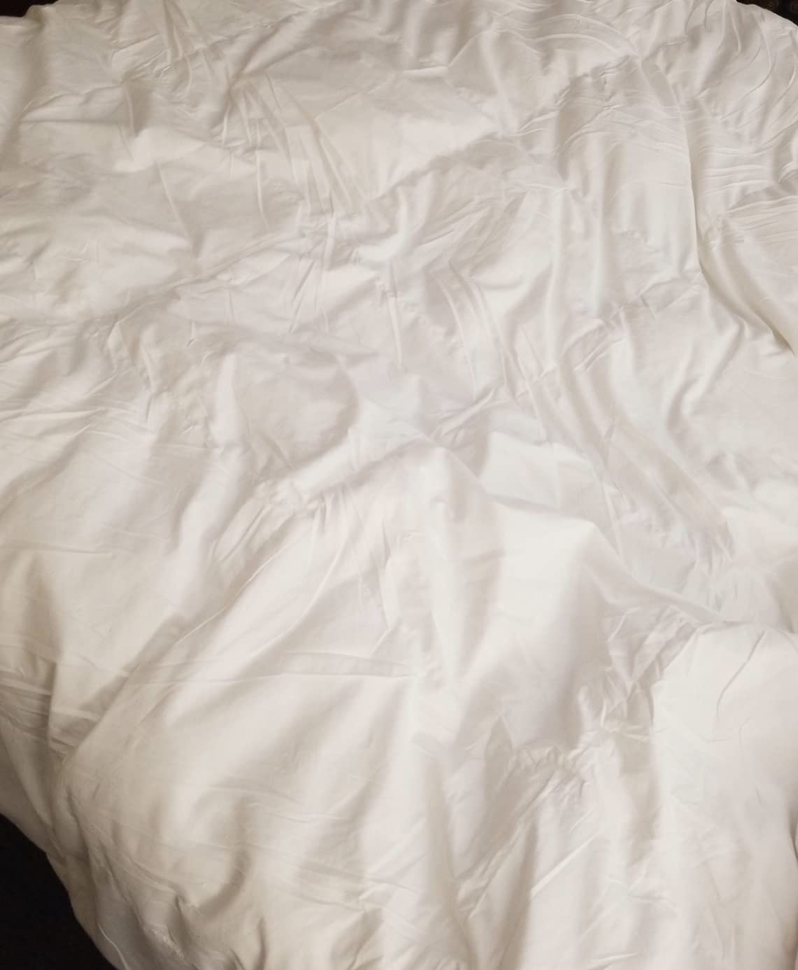 Feathers & Down Comforter - Organic Cotton Shell, RDS & OEKO-TEX Certified customer photo 2