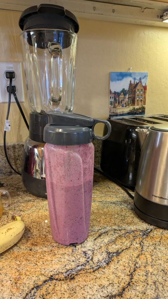 BLACK+DECKER Quiet Stainless Steel Blender (BL1400DG-P) customer photo 1