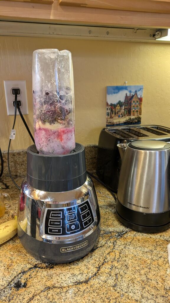 BLACK+DECKER Quiet Stainless Steel Blender (BL1400DG-P) customer photo 2