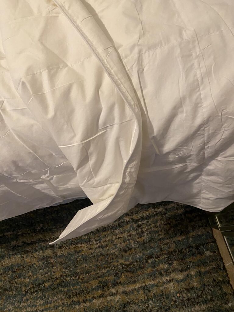 Summer Down Blanket King Size - OEKO-TEX & DOWNPASS Certified, 12oz Lightweight customer photo 2